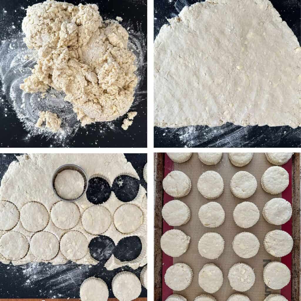 Easy Homemade Biscuits for a Crowd Appetizer Bliss