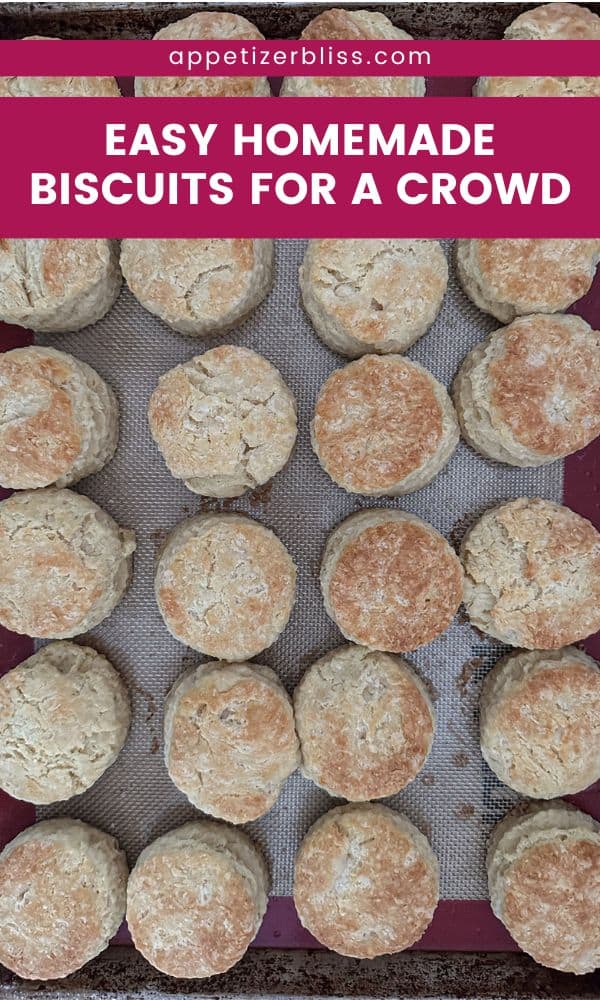 Easy Homemade Biscuits for a Crowd Appetizer Bliss
