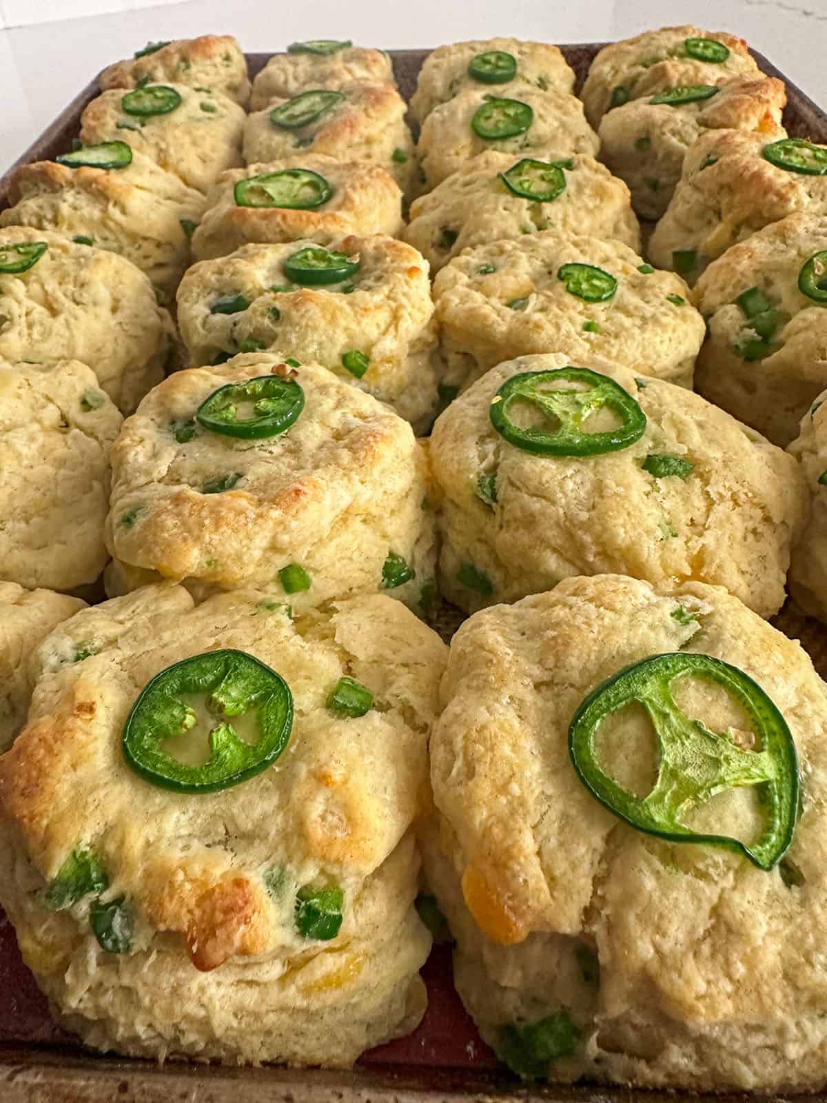 Sheetpan of baked jalapeño cheddar biscuits.