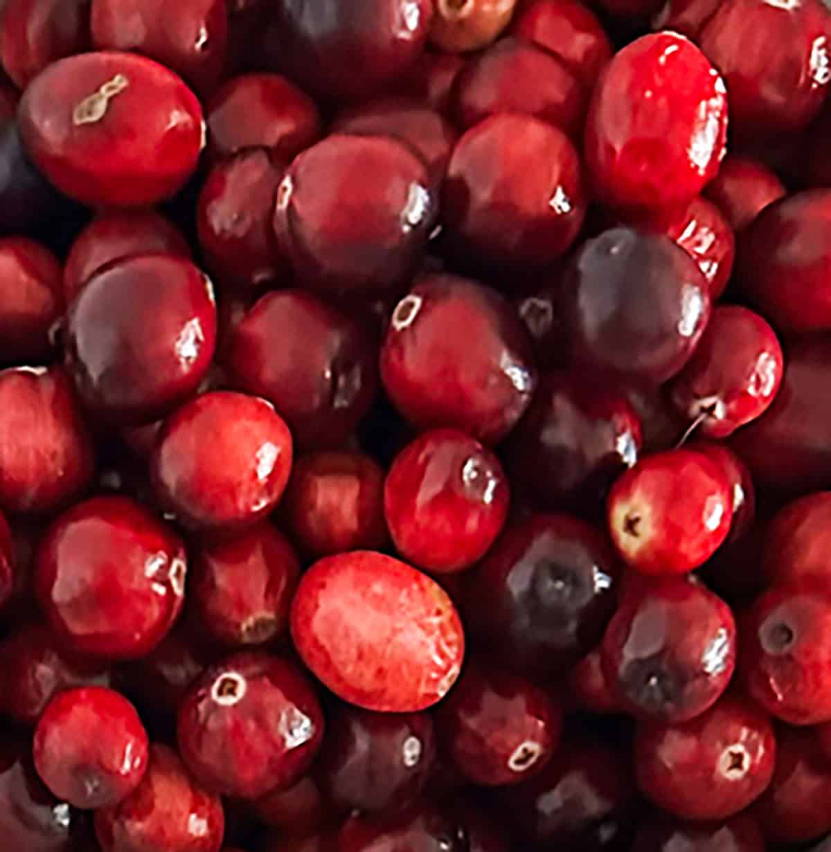 Fresh, raw cranberries.